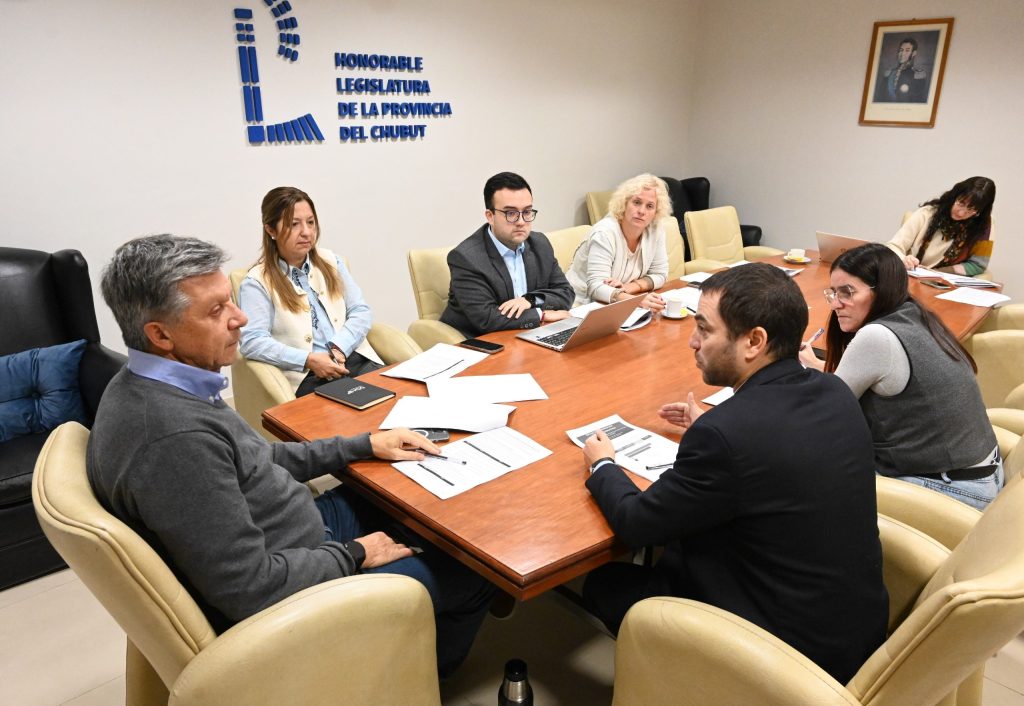 Equipos de la Legislatura del Chubut y del STJ durante una reunión de trabajo sobre la reforma de los procesos no penales.