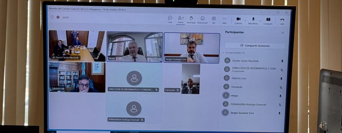 Pantalla con los participantes de la sesión del Consejo Superior del Foro Patagónico por videoconferencia.