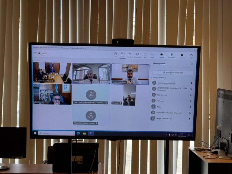 Pantalla con los participantes de la sesión del Consejo Superior del Foro Patagónico por videoconferencia.